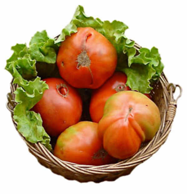 Tomates de Candamo