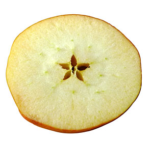 Rodaja de manzana