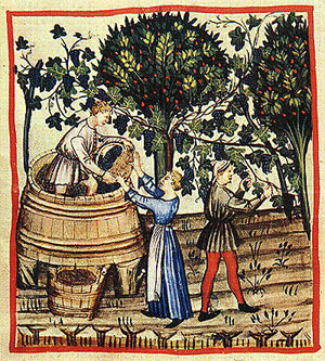 Grabando medieval. Pisando uva
