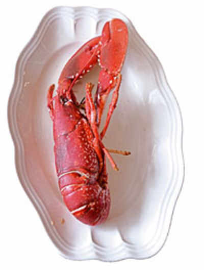 Imagen Asociada
