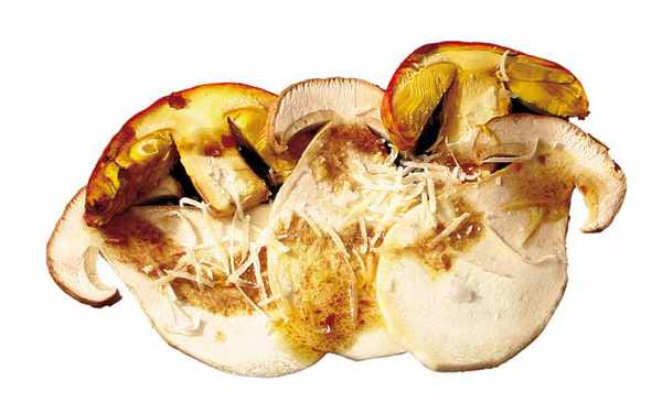 Carpaccio de boletus