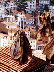 Curadillos en Cudillero