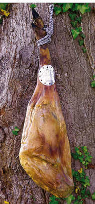 Jamón de Maldonado