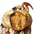 Salpicón de buey de mar