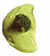 Puré de brócoli