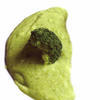 Puré de brócoli