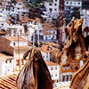 Curadillos en Cudillero