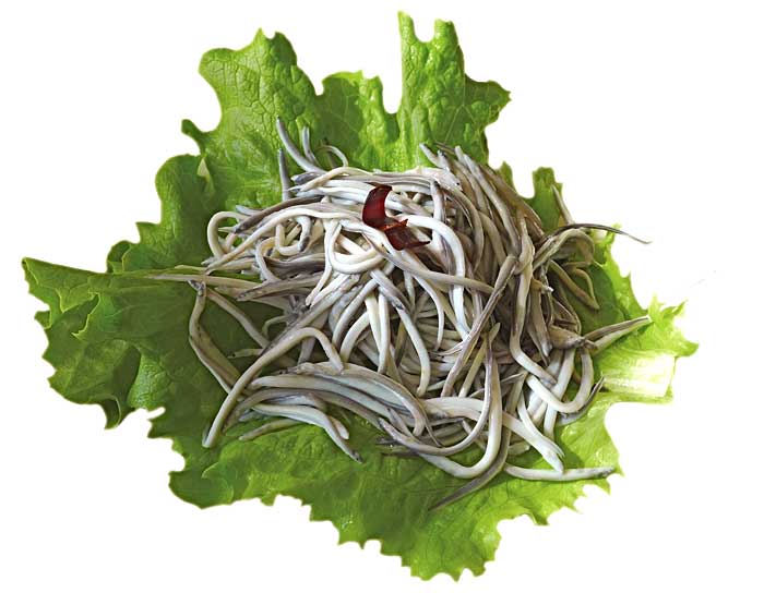 Angulas frescas en ensalada