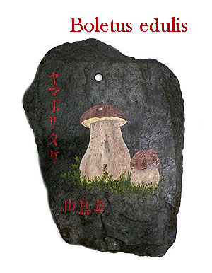 Boletus en grabado sobre piedra