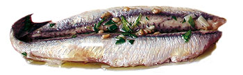 Plato de boquerones en vinagre