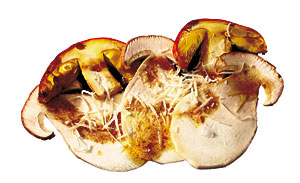 Carpaccio con boletus