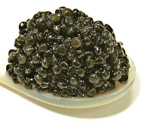 Caviar Beluga 000