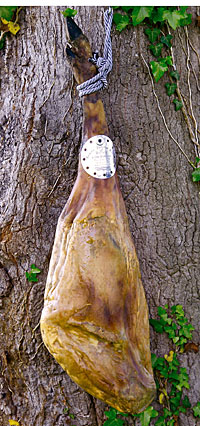 Jamón de bellota