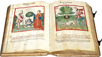 Libro códice