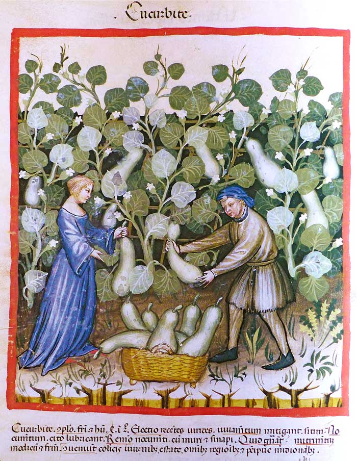 Tacuinum sanitatis