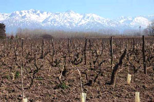 Paisaje fotográfico de los Andes